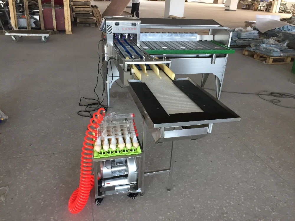 
ZENYER egg grading printing machine with vacuum egg lifter 