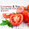 High quality Lycopene 95% / CAS:502-65-8 / pharmaceutical intermediate/ tech research