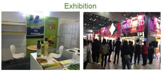 paste-pic-dp_uuid_uv7om