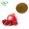 Factory supply top quality Pomegranate Rind Extract/pomegranate peel extract powder