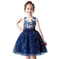 

summer bridesmaid lace princess little queen ball gown flower girl dresses with silver