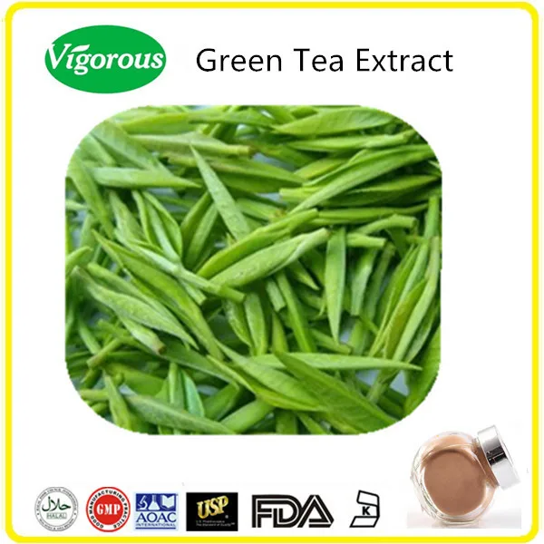 Free Sample Green Tea Extract Powder 98polyphenols/80catechins/50egcg/