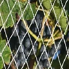 plastic anti hail bird net protection net for agriculture