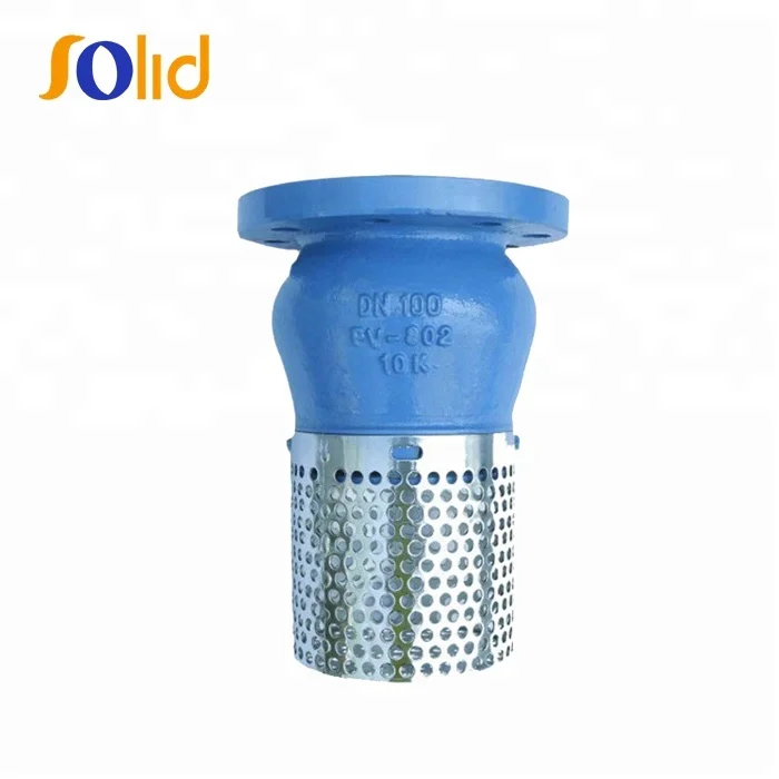 Price PN16 Cast Iron Flanged Type Foot Valve With Strainer (5).jpg