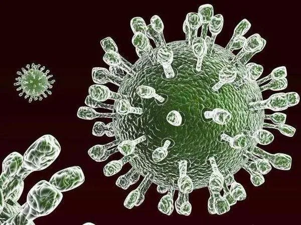 рнк ротавирус. диета при ротавирусной инфекции у детей. ротавирус яйцо. что можно есть при ротовирусе. норовирусы.