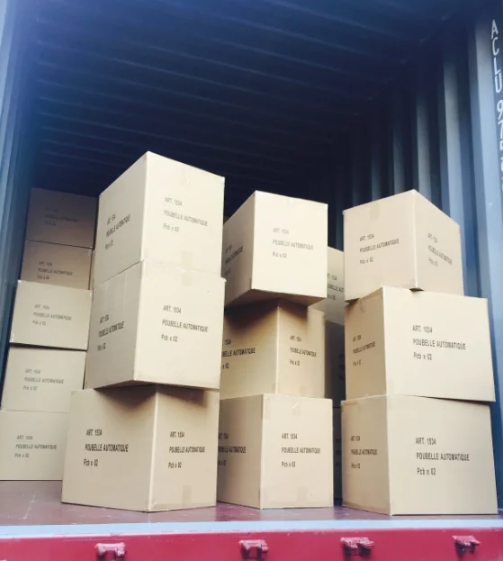 paste-pic-dp_uuid_my6c6