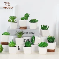 

Wholesale artificial plants potted succulents home art decoration