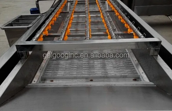 1000KG/H Fruit and Vegetable Washing Machine - Dates Line