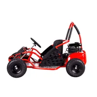 

free shipping cheap 48v 1000w Racing Electric Fast Car Go Kart for sale