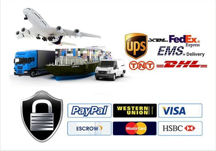 shipment and payment