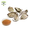 Provide Halal Oyster Extract/Ostrea gigas Thunberg Extract