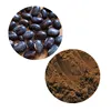 Trending products Mucuna Pruriens Extract for beauty