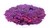 popular wholesale festival items sparking glitter powder for articles of luxury beautiful girl nude