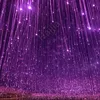 2019 cyber celebrity ceiling decorative elegant led forest star sky fiber optic rope light