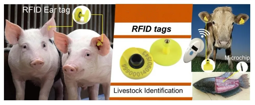 Laser Series Number Various Size TPU High Quality UHF RFID Animal Ear Tag