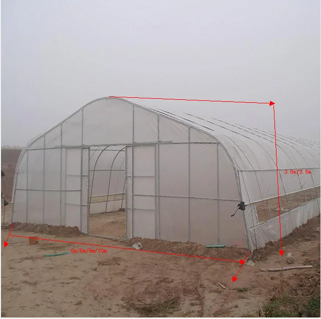 greenhouse 2.png