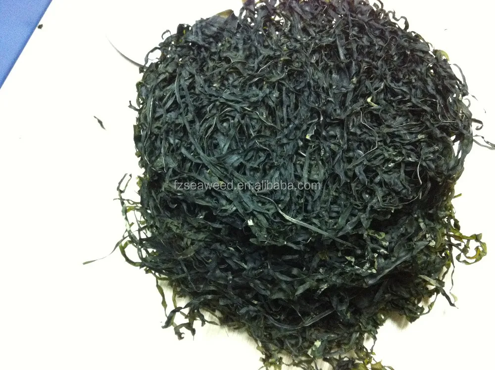 New Harvest High Swelling Algae Dried Kelp Cut Shredded Seaweed