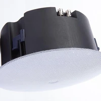 

High quality passive in ceiling speaker