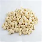 cashew nut w450