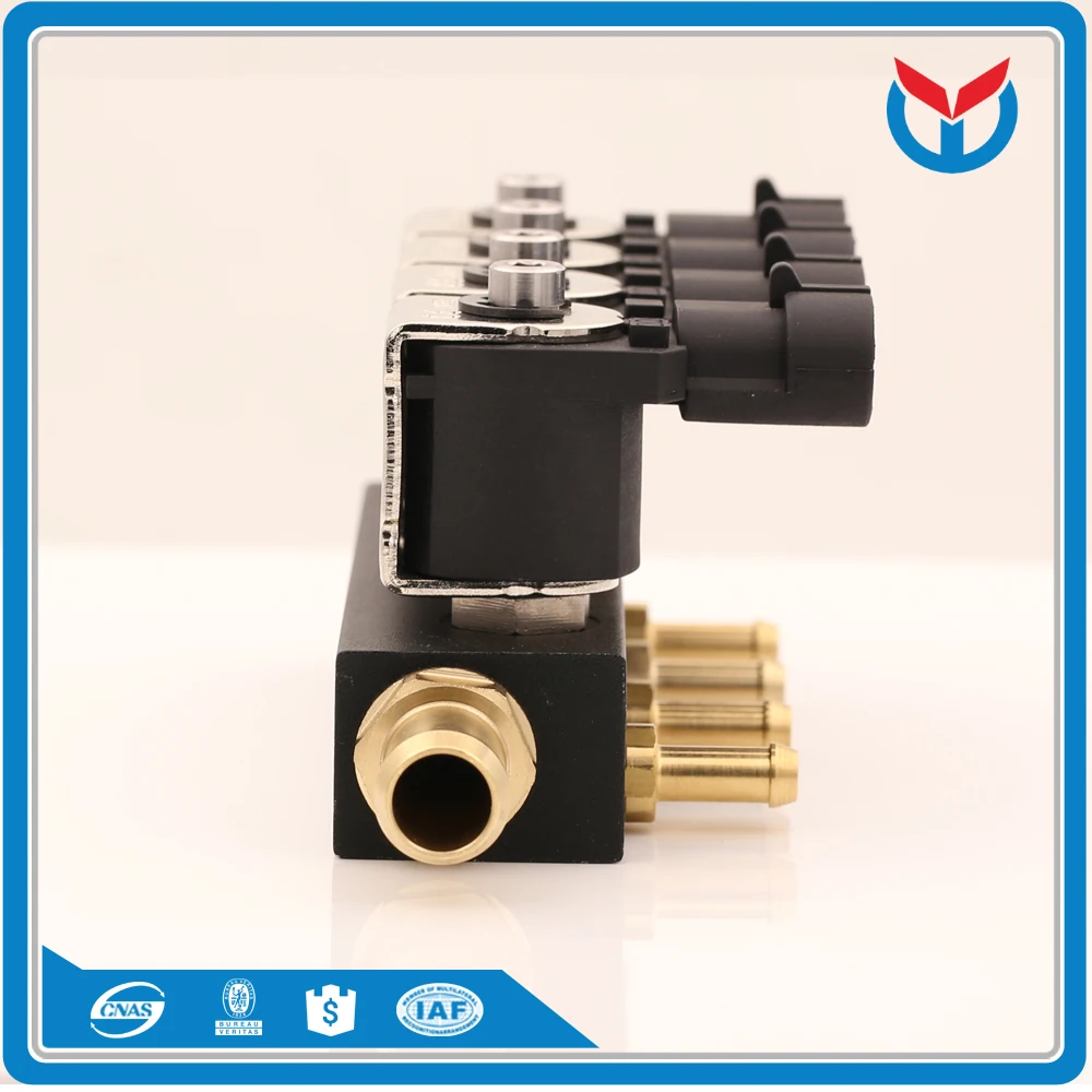 cng lpg injector (2)