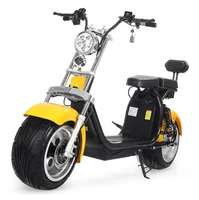 

CE EEC&Coc KC emc certificate portable lithium battery 60V 20ah 1500W-2000W 18in Tyre Citycoco Electric Scooter