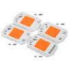 Input Voltage Smart IC 220V 1110V AC COB Led Module 20W 30W 50W Cob Led Chips For Led Floodlights