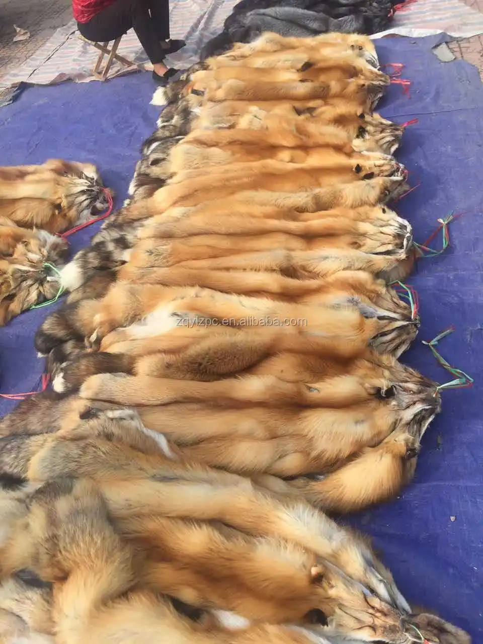 Red fox skin.jpg