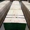 commercial plywood lvl and lvl timber formwork construction