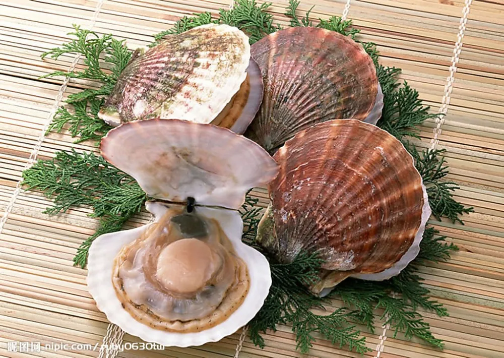 所有行业  食品和饮料  海鲜 鱼类