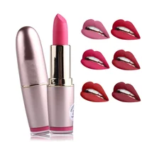 

Private label cruelty free rose gold tube glitter waterproof lipstick matte bullet lipstick