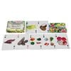 Custom Flash Cards Printing Service