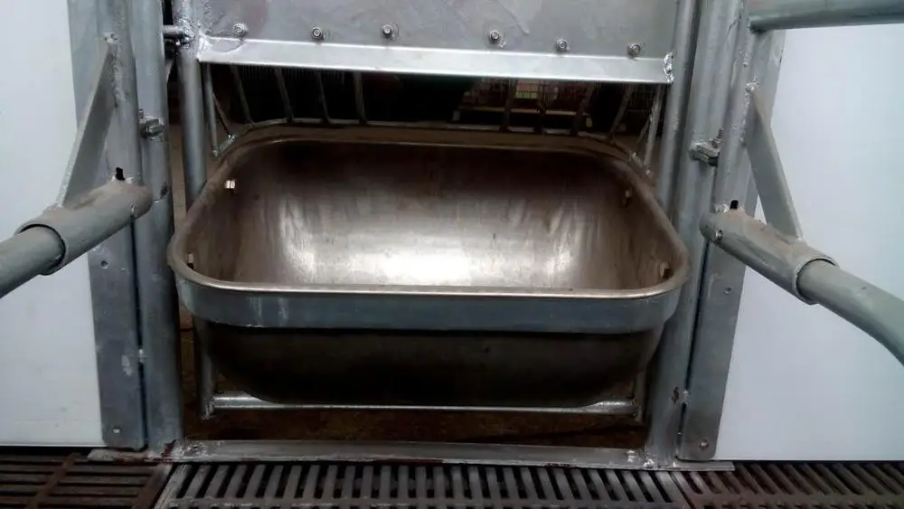 Livestock Stainless Steel Feed Trough For Sow - Buy Livestock Feed