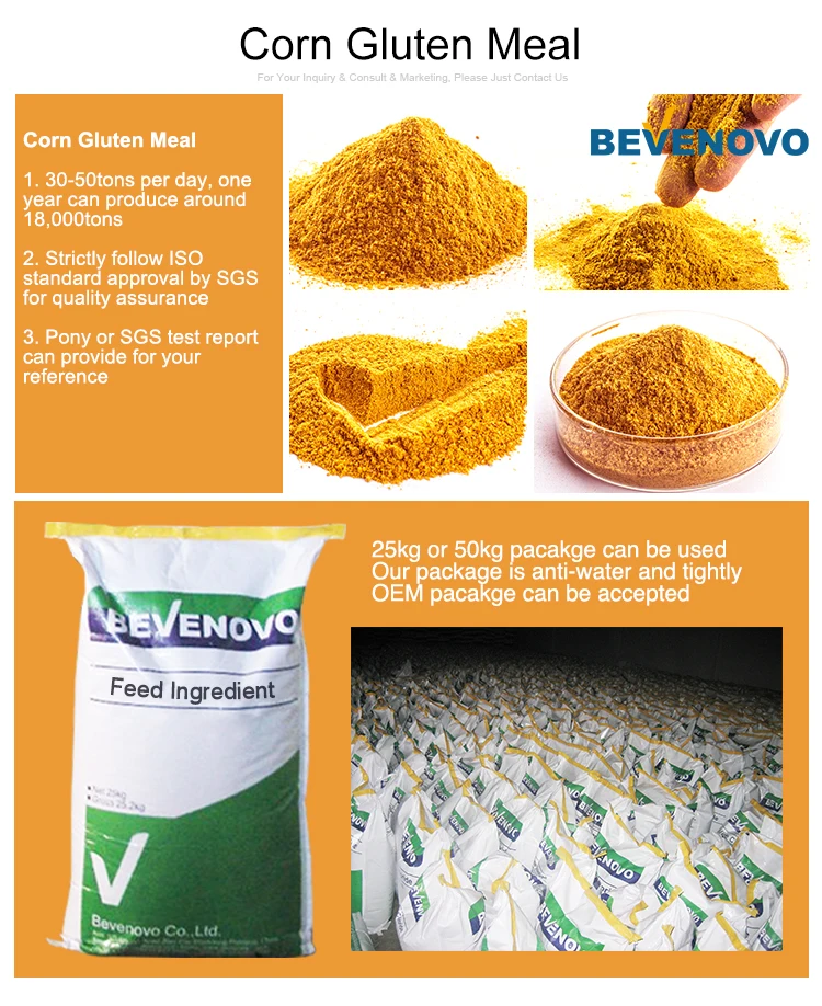 Organic Corn Gluten Meal Supplier For 60 65 Protein Buy Organic