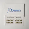 Dental 022 Mini Edgewise Orthodontic Brackets No Hook