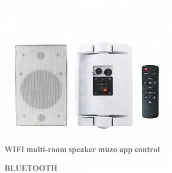 smart speaker wifi