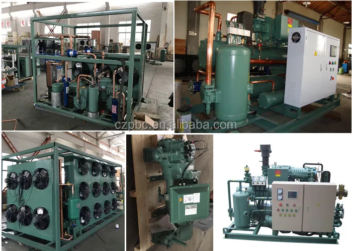 Equipment Bitzer Refrigeration Unit, customizable, czpbc - detail 2