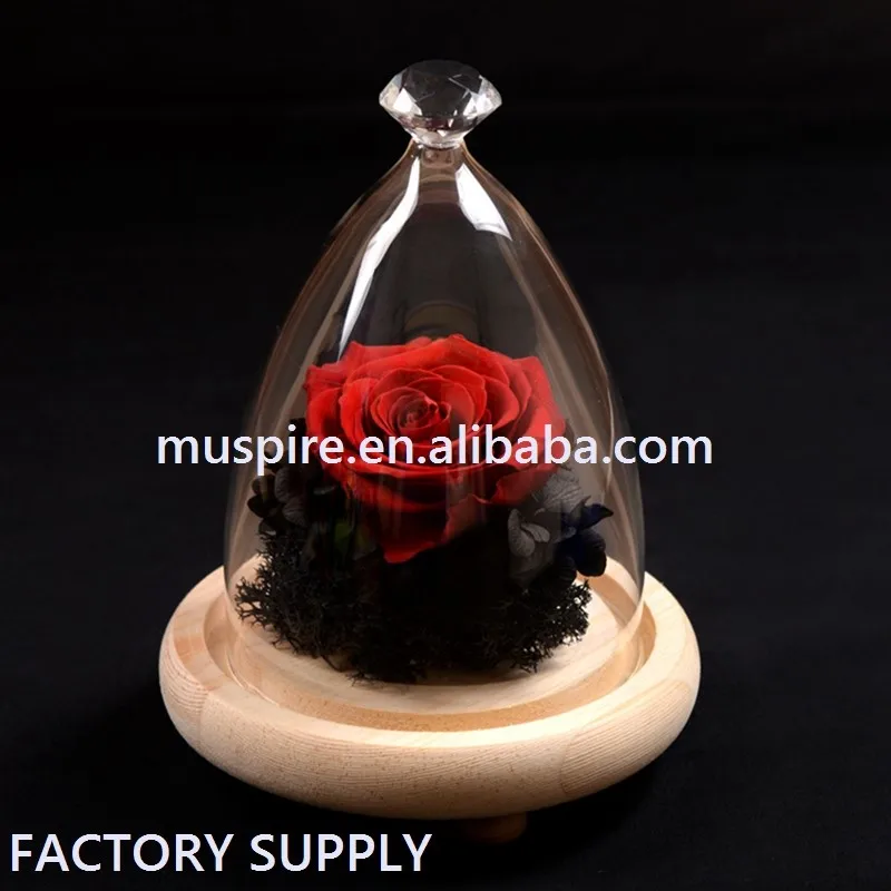 Glass Dome Diamond 2