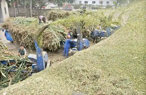 grass grinding machine