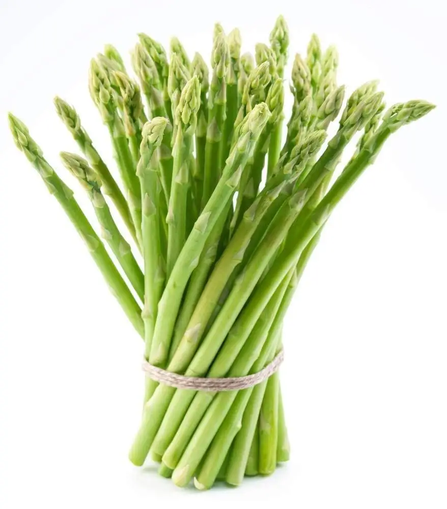 Cheap Root Asparagus, find Root Asparagus deals on line at