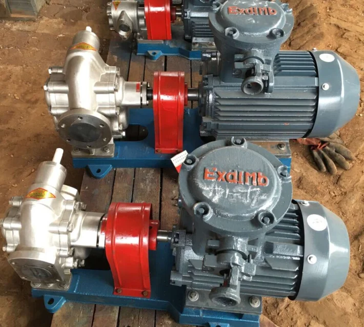 Kcb Stainless Steel Cooking Oil Gear Pump,Olive Oil Transfer Pump