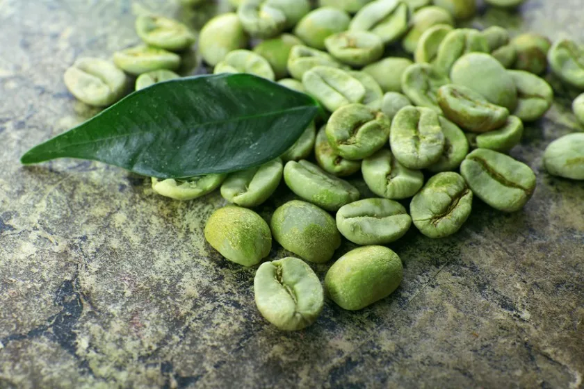 hot selling green coffee bean extract powder plant extracts for