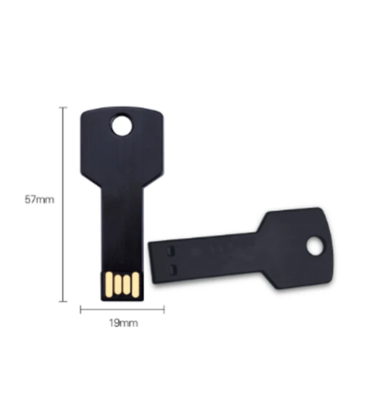 Hot Selling Mini Metal Key Usb Flash Drive 2GB 4GB 8GB 16GB pendrive 2.0 usb,memory stick - ANKUX.COM