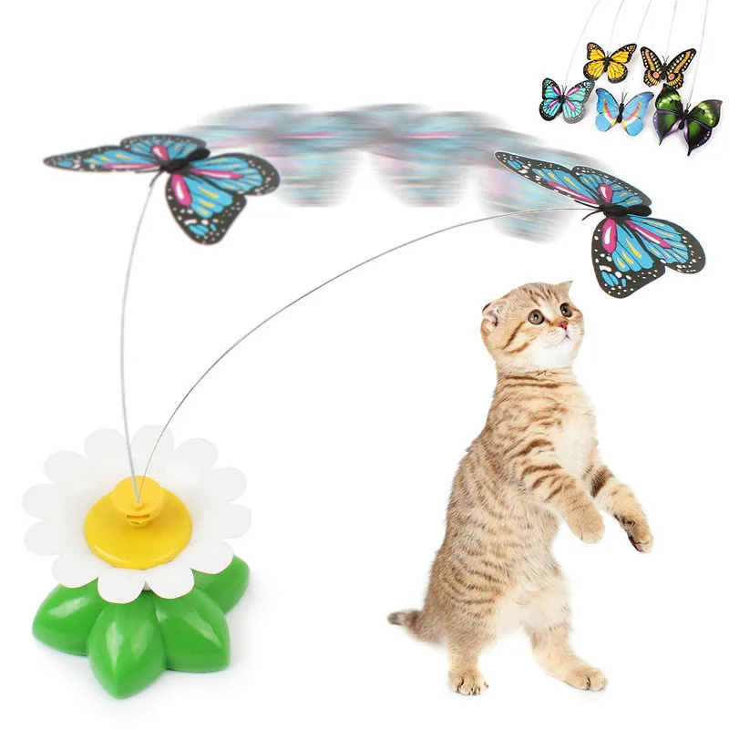 interactive butterfly cat toy