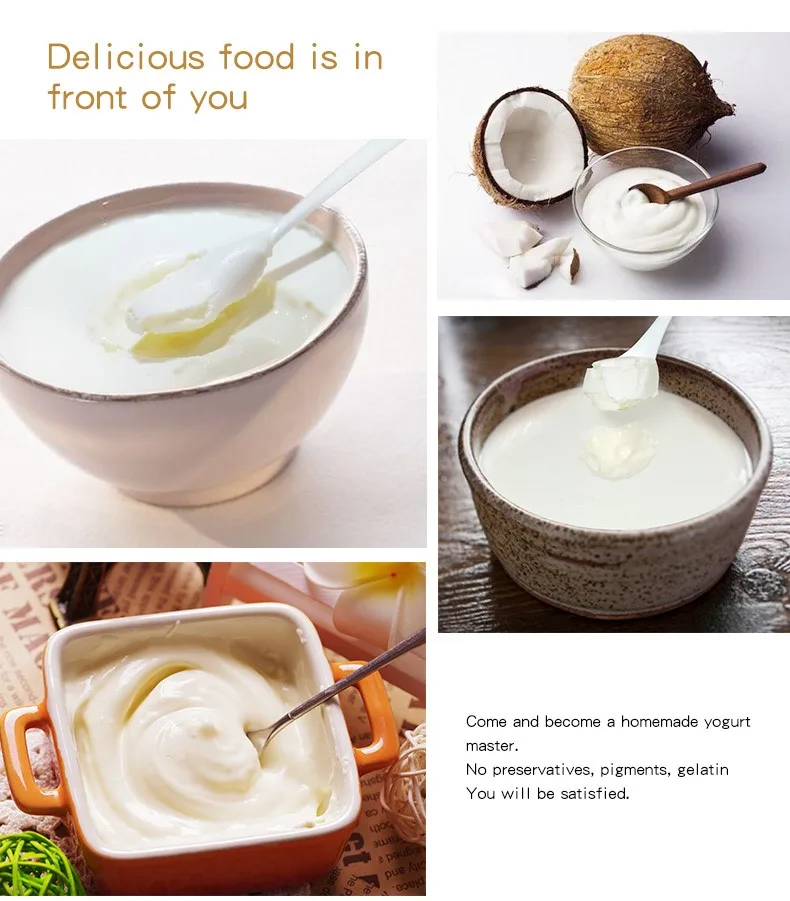 Halal Yogurt Homemade Non Dairy Coconut Flavor Yogurt Powder Buy