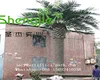 SJLJ0691 direct selling decorative Large Artificial tree plant and date palm tree