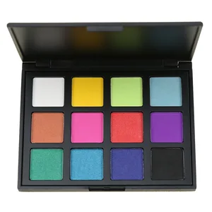 Professional 12 Colors Eyeshadow Palette Pigment Shimmer Matte Eye Shadow Makeup