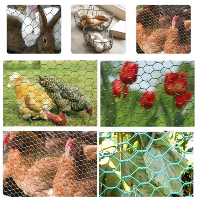 Free Sample Small Hole Chicken Wire Mesh Buy Small Hole Chicken Wire