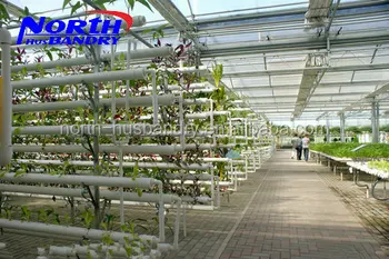 international study of re-regions: dubai's self sufficient