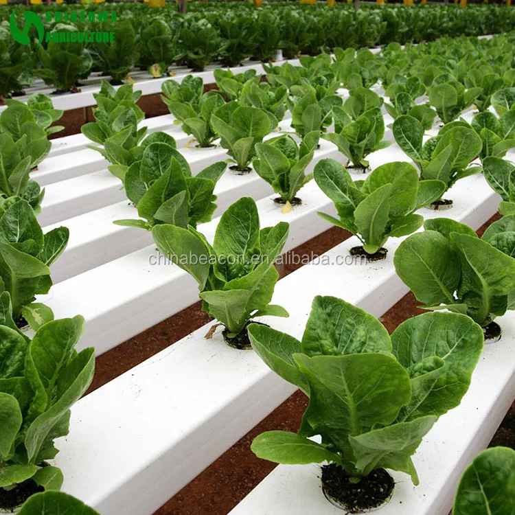 
Commercial PVC Hydroponic Grow Systems For Sale 