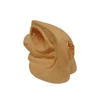 XC-332C human Female Internal and External Genital Organs model